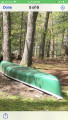 15 foot Coleman canoe, Dark green