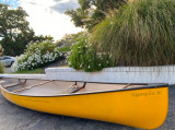 Classic- Swift Algonquin 16